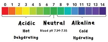 The Ph Factor Pral Formula And The Human Body