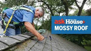 how to clean and prevent a mossy roof