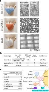 bacterial and fungal isolation from