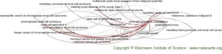 Renal Cell Carcinoma Nonpapillary Disease Malacards