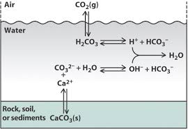 limestone and acid rain