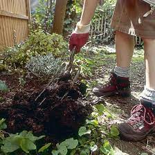 Garden Manure Types And Composting Tips