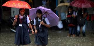 Live Chennai: Holiday declared for schools in 9 districts due to heavy rain, Holiday for Schools and Colleges in 9 Districts of Tamilnadu, No Holiday  for Kanchipuram, Chennai and Tiruvallur Districts