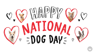 National dog day stands as one of our favorite holidays, so we've made a complete guide on all our favorite canine quotes, photos, and things to do. National Dog Day Rma Faculty S Dogs Eagle Examiner