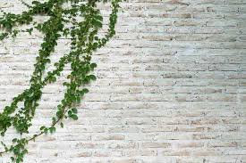 How To Decorate Garden Walls Doğtaş