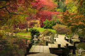 Fall Park Landscape Picture Japanese
