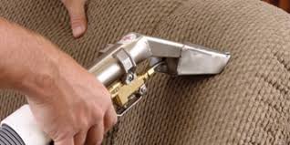 upholstery cleaning steam green
