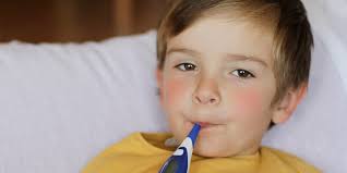 what is fifth disease cold virus