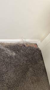 carpet repair foothills carpet care