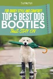 Top 6 Best Dog Booties For Dogs That Stay On 2019 Update