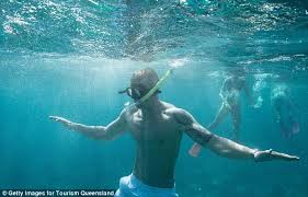 Adam peaty and millicent jenner of england pose on the beach during an athlete great barrier reef experience on day eight of the gold coast 2018. Adam Peaty Dives With Turtles At Great Barrier Reef After Commonwealth Games Daily Mail Online