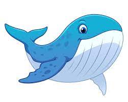blue whale cartoon ilration
