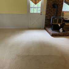 carpet cleaning in lake burton ga