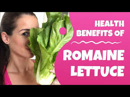 health benefits of romaine lettuce is