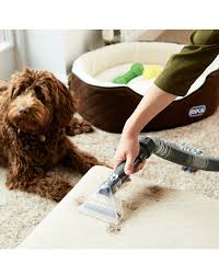 vax dual power pet carpet cleaner