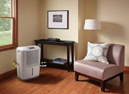 Best Way To Use A Dehumidifier