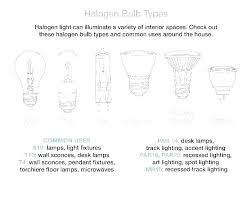 Bulb Socket Size Hlbboh Info