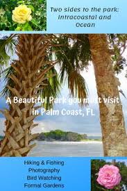 73 Best Palm Coast Images Palm Coast Florida