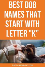 best dog names that start with k and