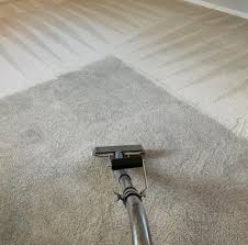 carpet cleaning in ann arbor mi free
