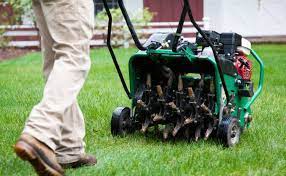 Get free price quotes today! 2021 Lawn Aeration Cost Lawn Aeration Services