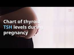 Pregnancy And Thyroid Disease Mamma Health