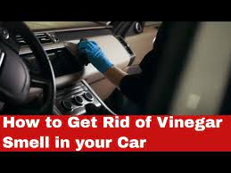 vinegar smell in your car