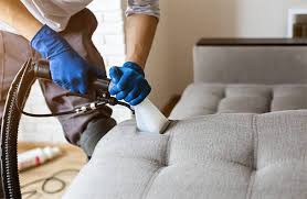 best upholstery cleaning in raleigh nc