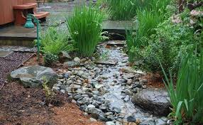 Water Garden Design Portfollio In