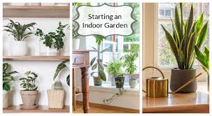 Starting An Indoor Garden Light