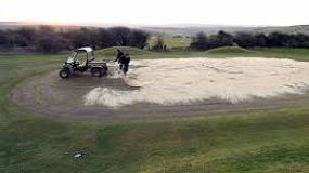 Image result for why do they cover golf course greens with black plastic?