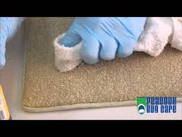 how to remove paint from carpets you