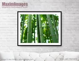 Bamboo Forest Stems Clsoeup Wall Art