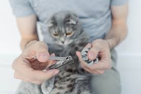 nails with human nail clippers