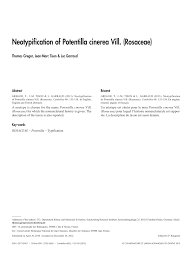 (PDF) Neotypification of Potentilla Cinerea Vill. (Rosaceae)