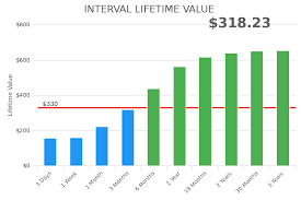 Lifetime Value What You Should Know But Probably Dont