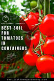what-is-the-best-soil-for-growing-tomatoes-in-containers