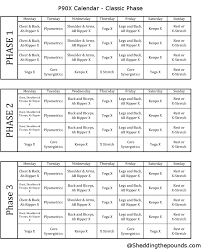 p90x workout schedule pdf