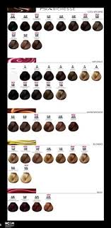 42 Best Hair Colour Chart Images Hair Color Hair Hair