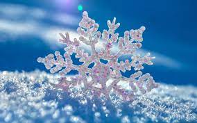 nature snowflake hd wallpaper