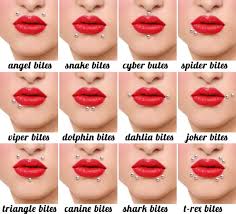 diffe types of lip piercing ideas