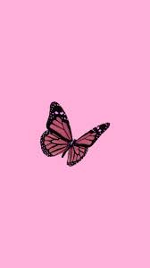 Cute pink wallpaper for phone hd. Cute Pink Butterfly Wallpapers Top Free Cute Pink Butterfly Backgrounds Wallpaperaccess