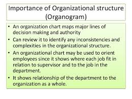 Organizing Function Of Management