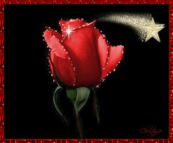 أجمل  الورود الحمراء  في العالم    Images?q=tbn:ANd9GcRKGRpzY-2xMeakk1ljHxQtQuKOZ6VS7aR52s7jnTA8kL43vvU9mQ