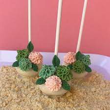 Succulent Cake Pops gambar png
