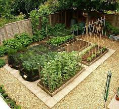 Edible Gardening Tips Creative Ideas