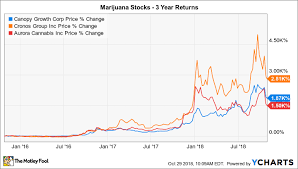These 3 Marijuana Stocks Turned 10 000 Into 206 000 The