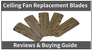 We will repair or ship purchaser a replacement motor and litex will pay the return. The 5 Best Ceiling Fan Replacement Blades Reviews Buying Guide