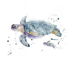 Sea Turtle Watercolor Art Print Sea