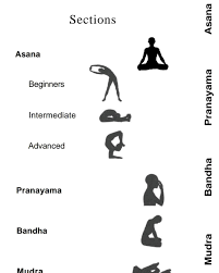 top 10 best yoga teachers in ernakulam